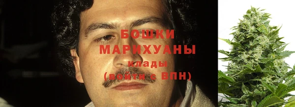 ГАЛЛЮЦИНОГЕННЫЕ ГРИБЫ Няндома
