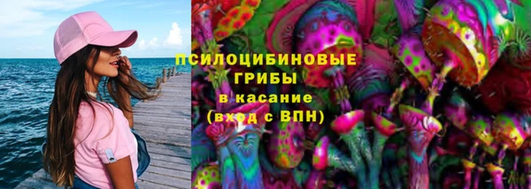 2c-b Осинники